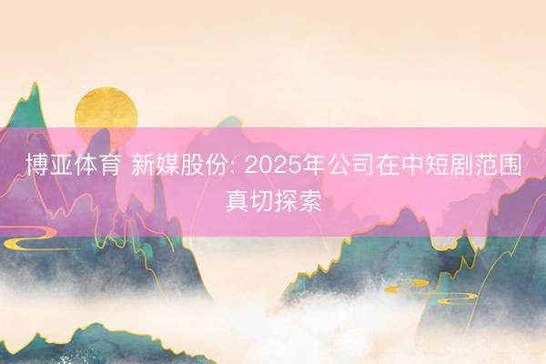 博亚体育 新媒股份: 2025年公司在中短剧范围真切探索
