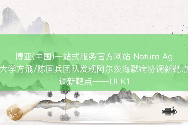 博亚(中国)一站式服务官方网站 Nature Aging：暨南大学方飛/陈国兵团队发现阿尔茨海默病协调新靶点——ULK1