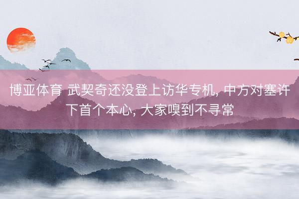 博亚体育 武契奇还没登上访华专机， 中方对塞许下首个本心， 大家嗅到不寻常