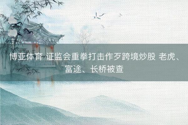 博亚体育 证监会重拳打击作歹跨境炒股 老虎、富途、长桥被查
