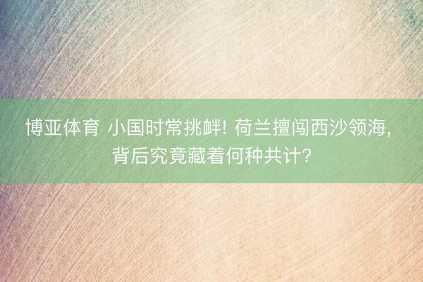 博亚体育 小国时常挑衅! 荷兰擅闯西沙领海， 背后究竟藏着何种共计?