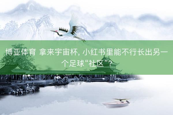 博亚体育 拿来宇宙杯， 小红书里能不行长出另一个足球“社区”?