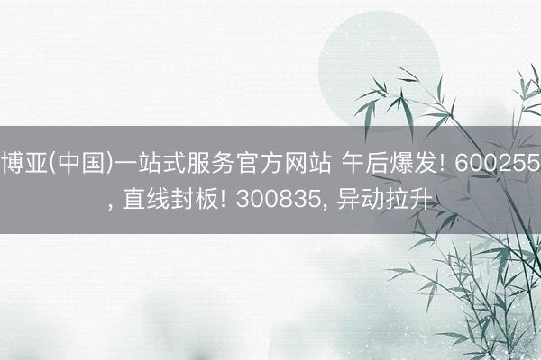 博亚(中国)一站式服务官方网站 午后爆发! 600255， 直线封板! 300835， 异动拉升