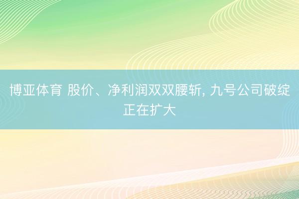 博亚体育 股价、净利润双双腰斩， 九号公司破绽正在扩大