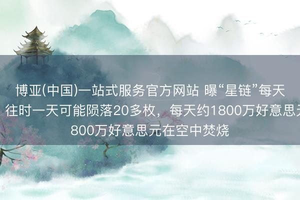 博亚(中国)一站式服务官方网站 曝“星链”每天有卫星坠毁，往时一天可能陨落20多枚，每天约1800万好意思元在空中焚烧