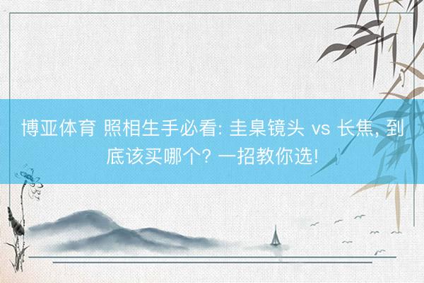 博亚体育 照相生手必看: 圭臬镜头 vs 长焦， 到底该买哪个? 一招教你选!