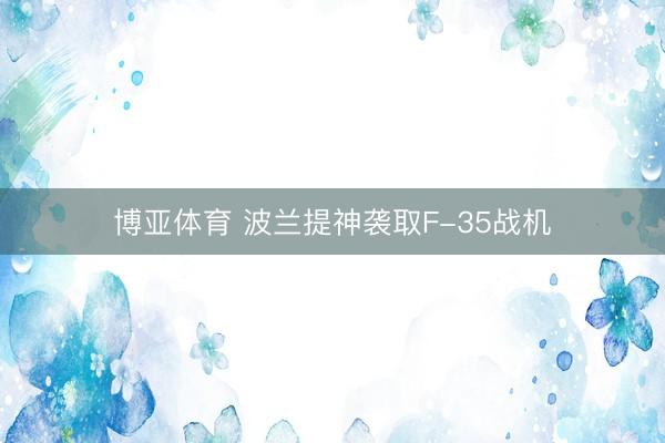 博亚体育 波兰提神袭取F-35战机