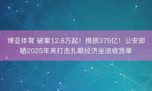 博亚体育 破案12.8万起！挽损375亿！公安部晒2025年来打击扎眼经济坐法收货单